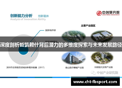 深度剖析哲凯赖什背后潜力的多维度探索与未来发展路径